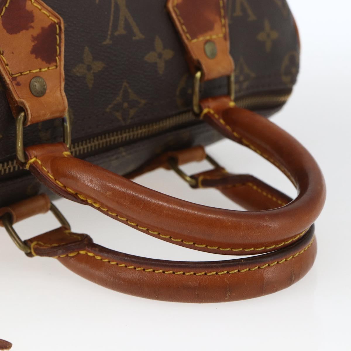 Monogram Speedy 25 Handbag