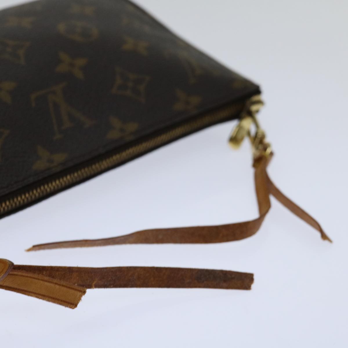 Monogram Pochette Accessories Pouch