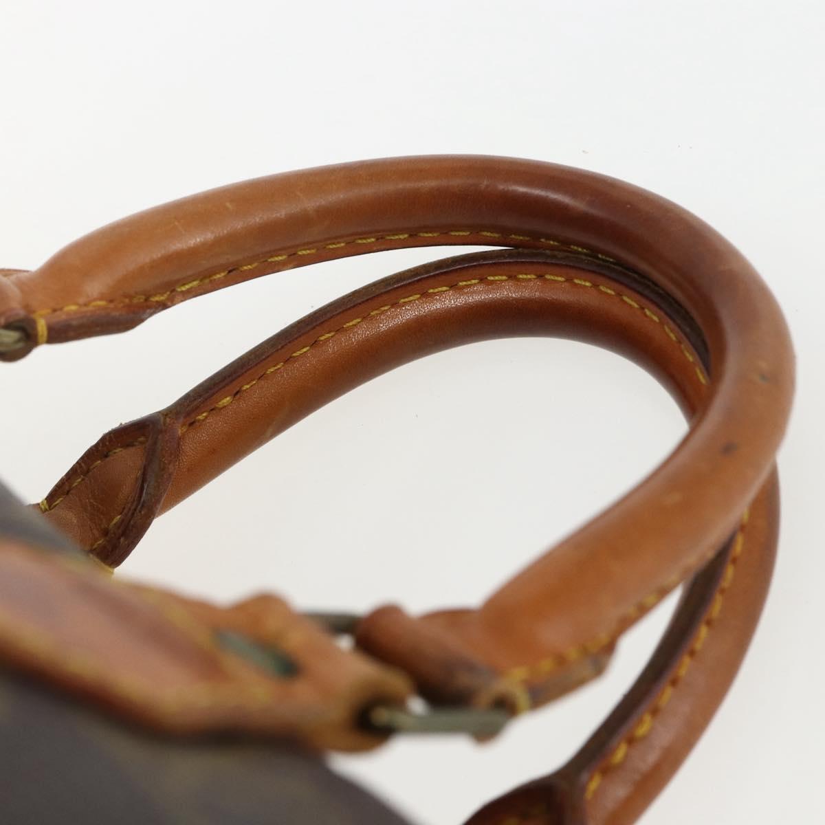 Monogram Speedy 25 Handbag