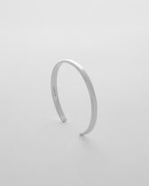 Standard armring