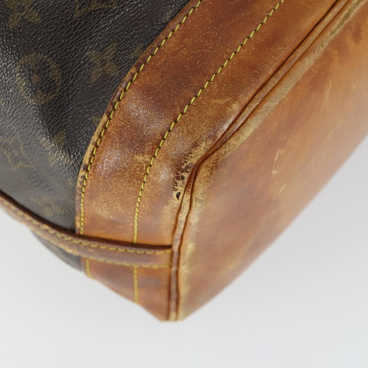 Monogram Noe Shoulder Bag